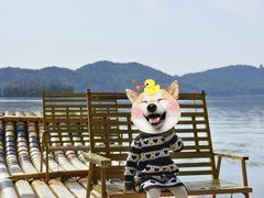-东湖落雁景区
