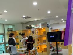 -小猫来了猫舍(福田店)