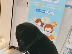 -贝康宠物医院·犬猫全科·小动物特色诊疗中心(东环路店)
