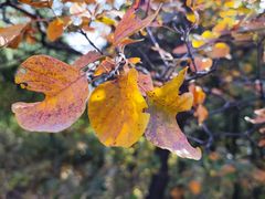 -北京西山国家森林公园