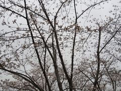 -龙美术馆(西岸馆)