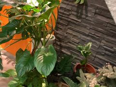 -泰古龙抓龙筋·spa按摩(静安店)