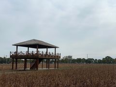 -嘉北郊野公园