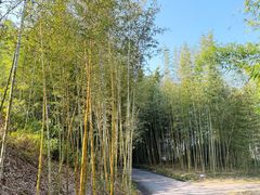 -福建鲤鱼洲酒店