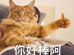 -东北饭店·饺饺者( 学府壹号店)