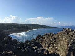 -龙坑生态保护区