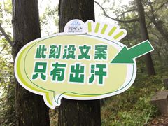-广州市帽峰山景区