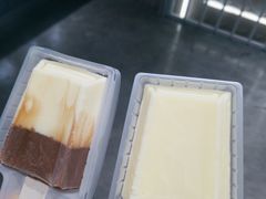 -钟薛高(南头古城店)