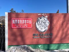 -横道河子东北虎林园