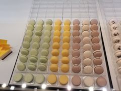 -BLACKSWAN黑天鹅(环球店)