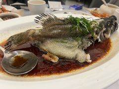 清蒸东星斑-79号渔船海鲜饭店(宝安店)
