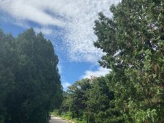 -北京西山国家森林公园