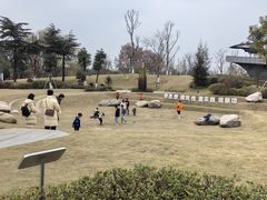 -成飞公园