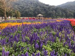 -广州市石门国家森林公园