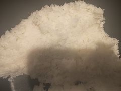 -醉得意·山茶油炒土鸡(莆田仙游方圆荟店)