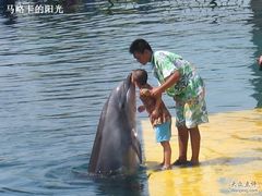 -秦皇岛乐岛海洋王国