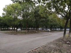 -安飞驰驾校·学车连锁(金高店)