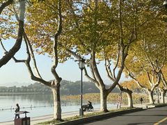 -湖畔居茶楼(湖滨店)