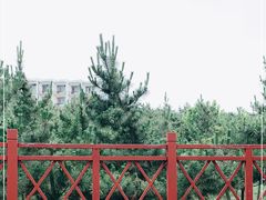 -养马岛旅游度假区