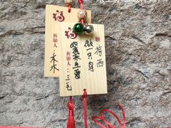 -蛇蟠岛