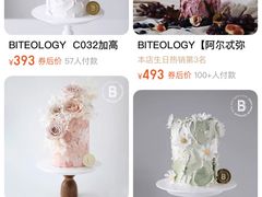 -Biteology Artisan Cakes(红庄·国际文化保税创新园店)