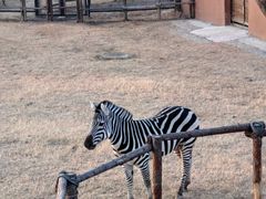 -祥源·阜阳生态乐园