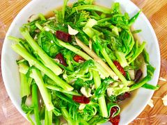 炒菜心-曼听小寨岩香宰傣家美食城(勐海路店)