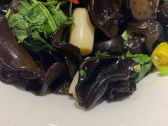 藕尖木耳-东方饺子王(大屯路店)