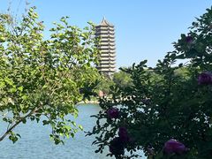 -农园餐厅(北京大学店)