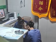 -半岛宠物医院24小时(科华中路店)
