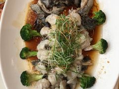 -頂好酒家·经典粤菜(海信广场店)