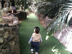 -呀路古热带植物园