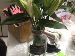 -芍药居北里
