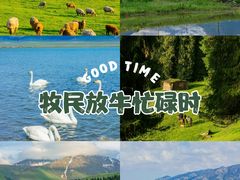 -新疆那拉提国家旅游度假区