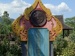 -西双版纳原始森林公园