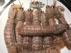 -欢乐牧场(T12店)