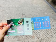 -西双版纳原始森林公园