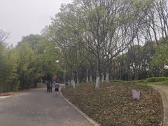 -白塘生态植物园