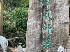 -汕尾铜鼎山旅游区