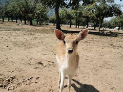 -西安秦岭野生动物园