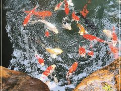 -云溪植物园