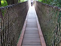 -亚龙湾热带天堂森林公园
