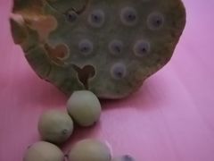 -安徽工业大学(秀山校区)