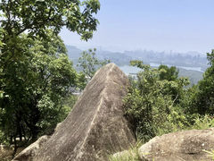 -阳台山森林公园