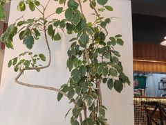 -The Good Place好地方·Brunch·coffee(国贸店)