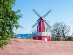 -羊亭河湿地公园