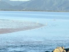 -深圳湾公园(南山区)