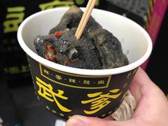 -武爹臭豆腐(坡子街店)