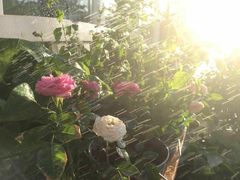 -娜娜家•Nana’Garden (福州道店)