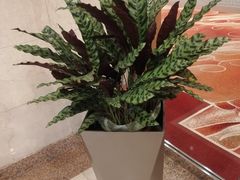 -北京新世纪饭店(动物园地铁站店)